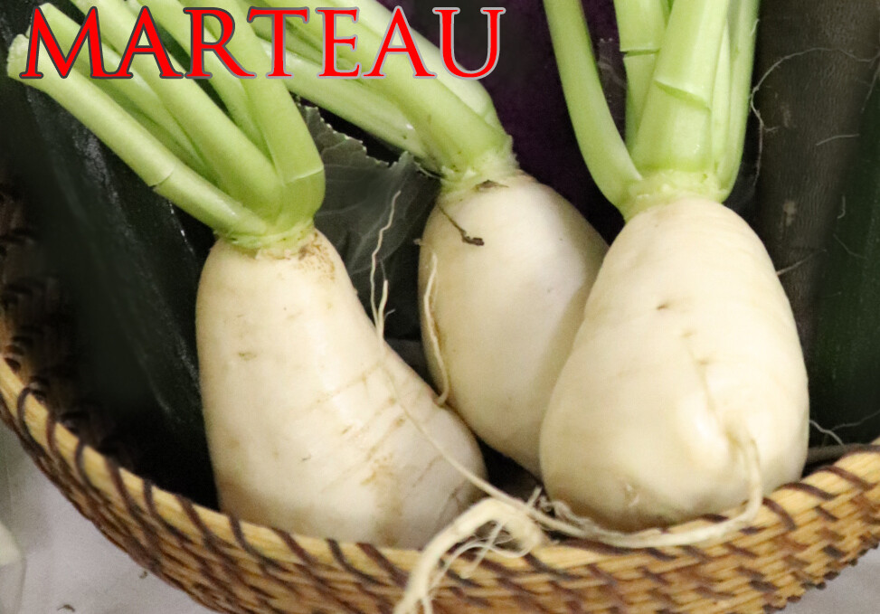 生命力あふれる野菜 続々 札幌 La Brique ラ ブリック Blog 生命力あふれる野菜 続々 札幌 La Brique ラ ブリック Blog