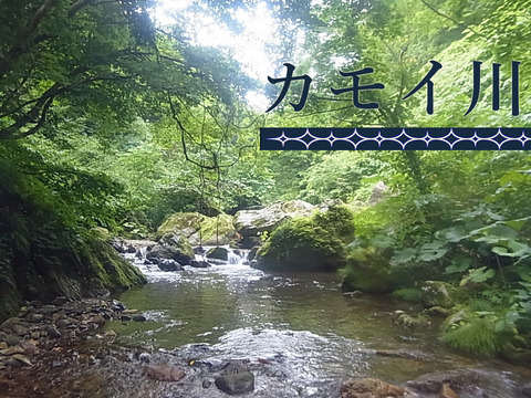 名称未設定-26
