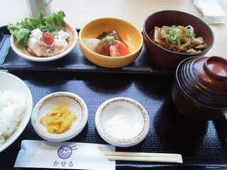 かせる 札幌おしゃれランチ かせる 札幌おしゃれランチ