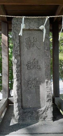 20200523_150201