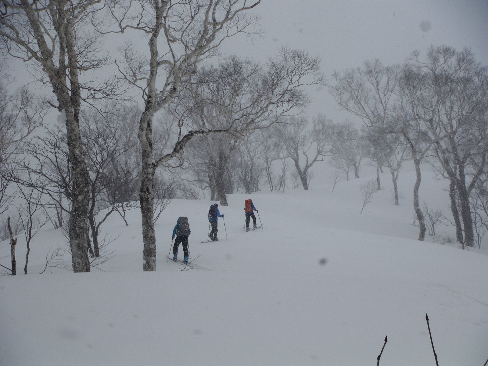本俱登山 ポンクトサン 3月16日 札幌ピオレ山の会