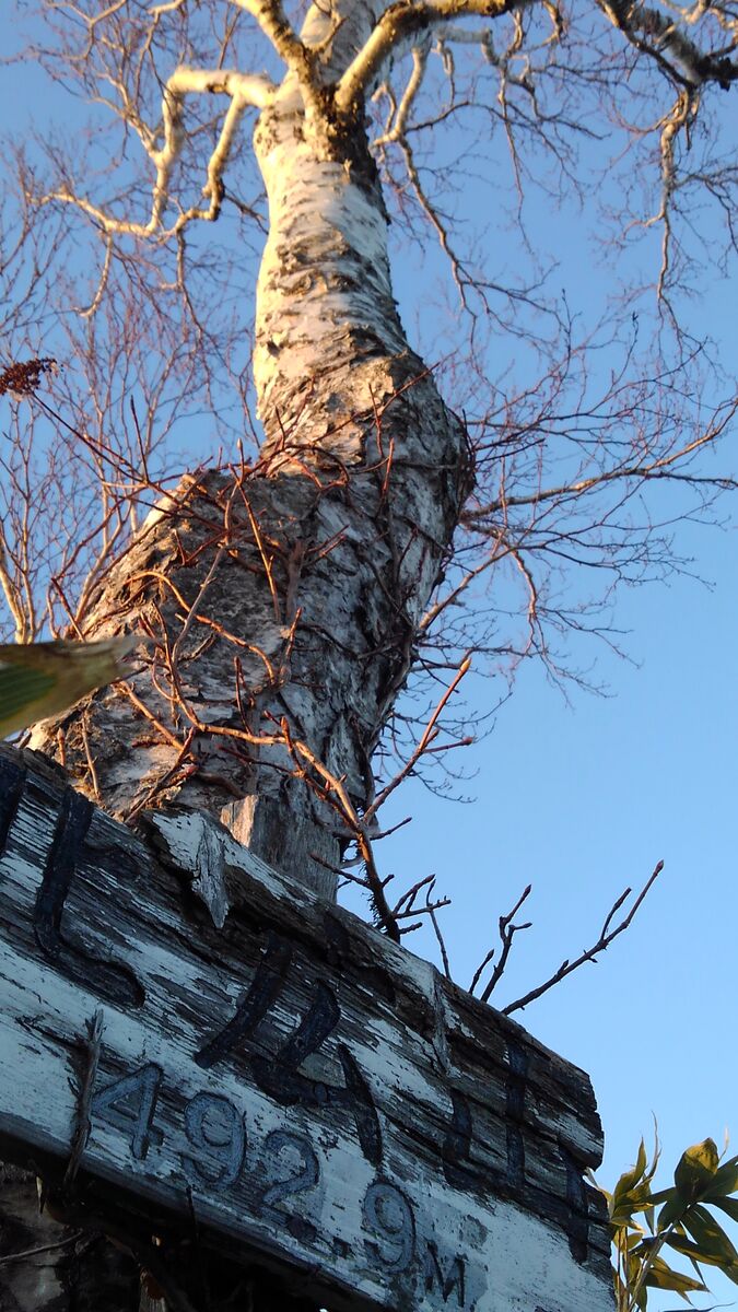 今年の 初日の出 いいことありそう 札幌ピオレ山の会