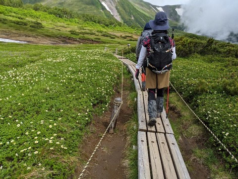 木道 (3)