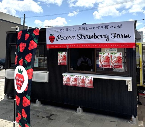 bf14fae0-7183-4d4a-bb58-eadc30bdb1b4