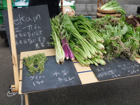 P1101049