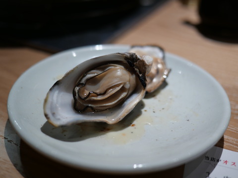 P1155491