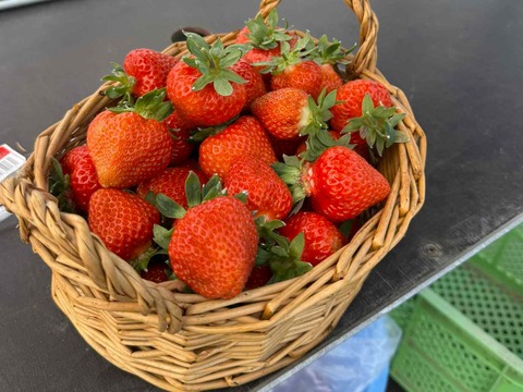 att.dBK5y9bBTaLT2IiDFvq_LZ3NFUHY9jppT6G1w92ljMo