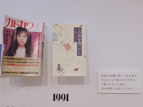 P1131260