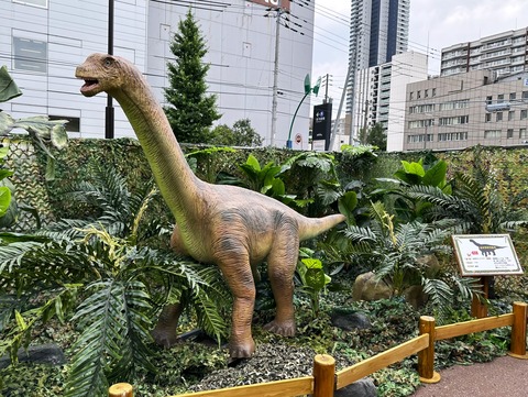 IMG_7595