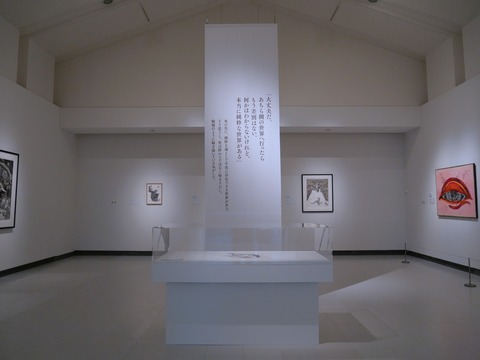 P1142576