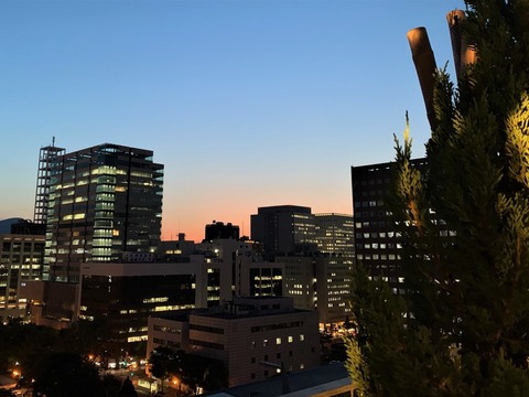 royalpark_5