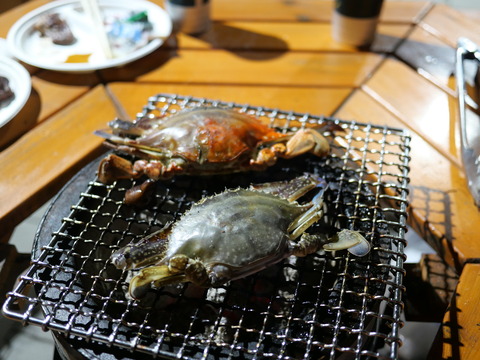 P1131392