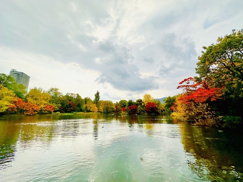 yakiimo_28