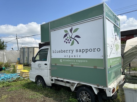 blueberry_4