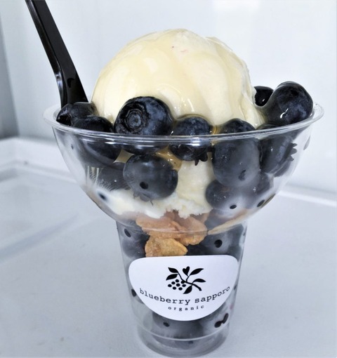blueberry_6