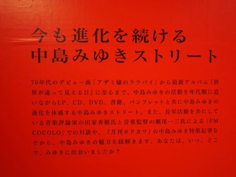 P1131255