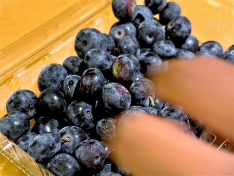 blueberry_11