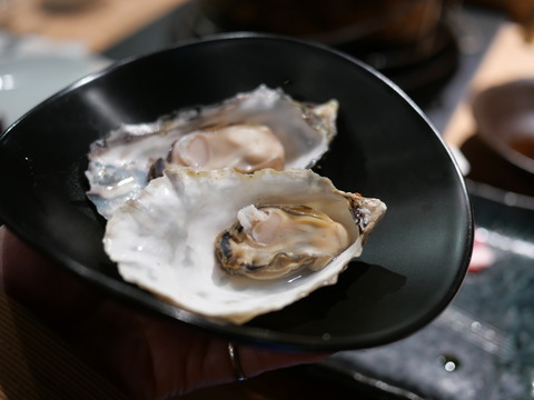 P1155512