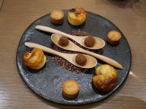 P1131511