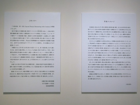 P1142622