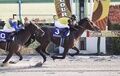small_1614082160