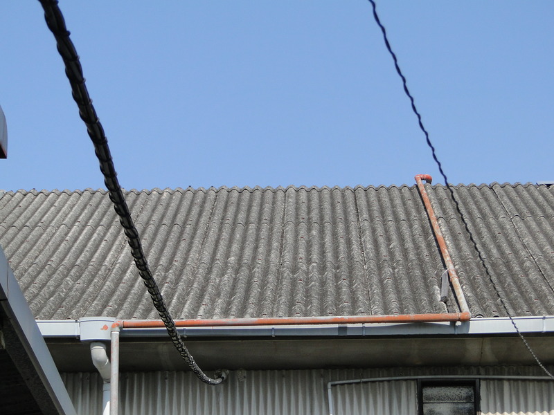 DSC00556
