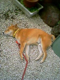20040610