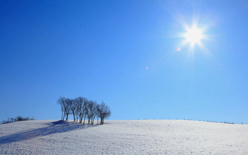 雪の言の葉 月彩 Tsukisai