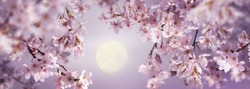 月桜_R-thumb-540x389-857s