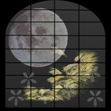ttmoon