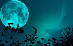 night_sky_moon_shadows_grass_blade_stars_1920x1200