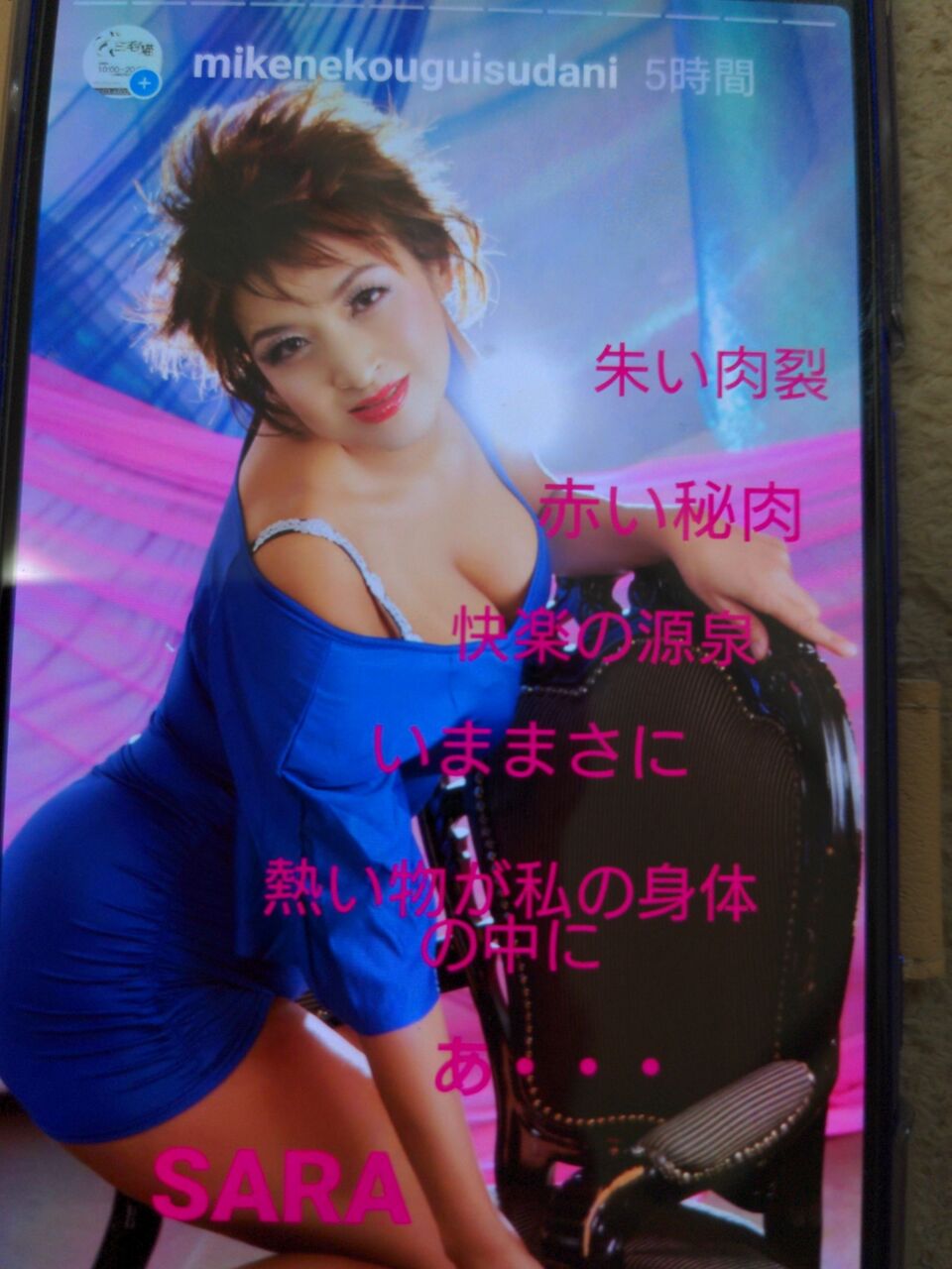 鶯谷 三 毛 猫