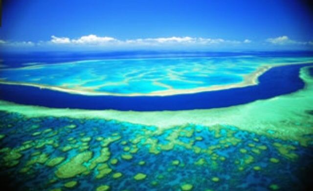 グレートバリアリーフ Sara3906のblog