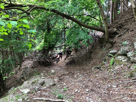 !cid_CA536218-D63D-4BC2-8AD0-BC9E533B27D2