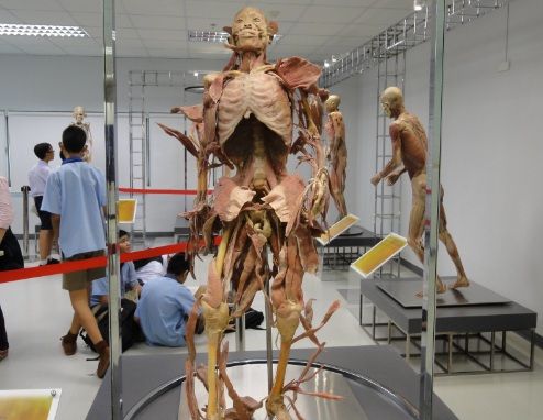 新 バンコク死体博物館 サイアム 限定公開の開館時間と場所 地図 メイドインタイランド 新 バンコク死体博物館 サイアム 限定公開の開館時間と場所 地図 メイドインタイランド