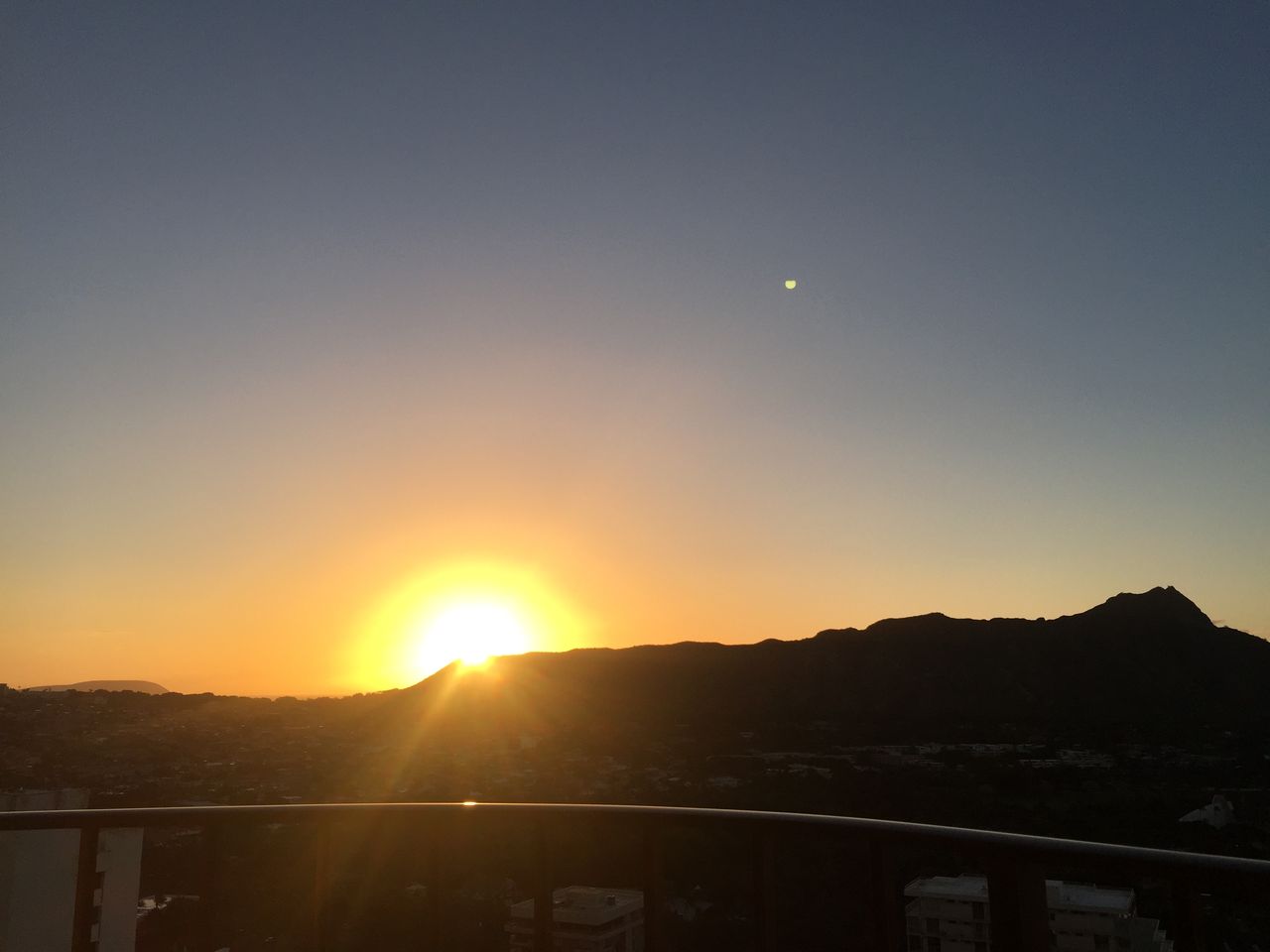 25年ぶりのハワイ 現地の幼稚園 小学校視察 犬と本と私 サランとアモと一緒に