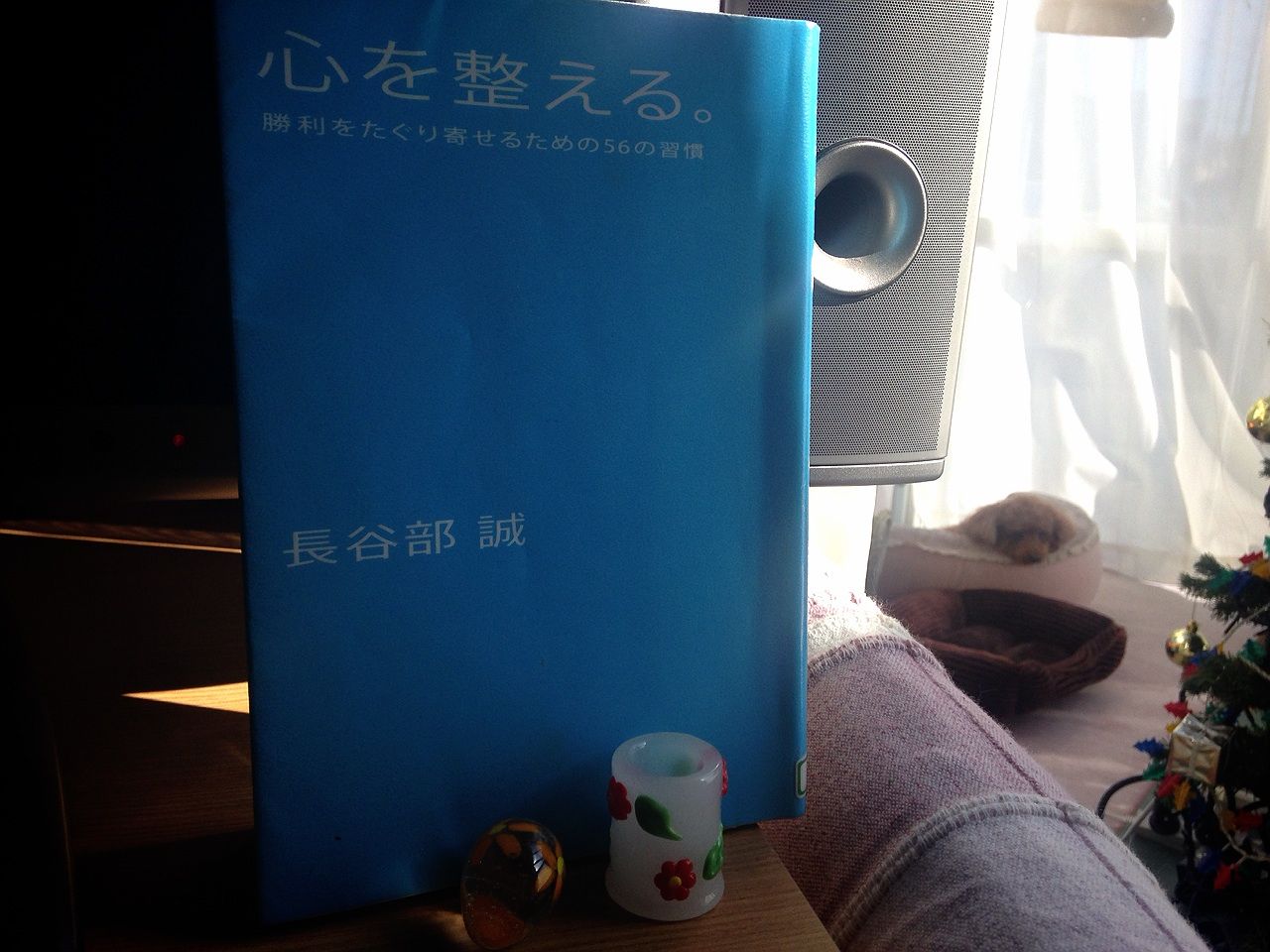 長谷部誠さんから教わる 心を整える 方法 犬と本と私 サランとアモと一緒に 長谷部誠さんから教わる 心を整える 方法 犬と本と私 サランとアモと一緒に