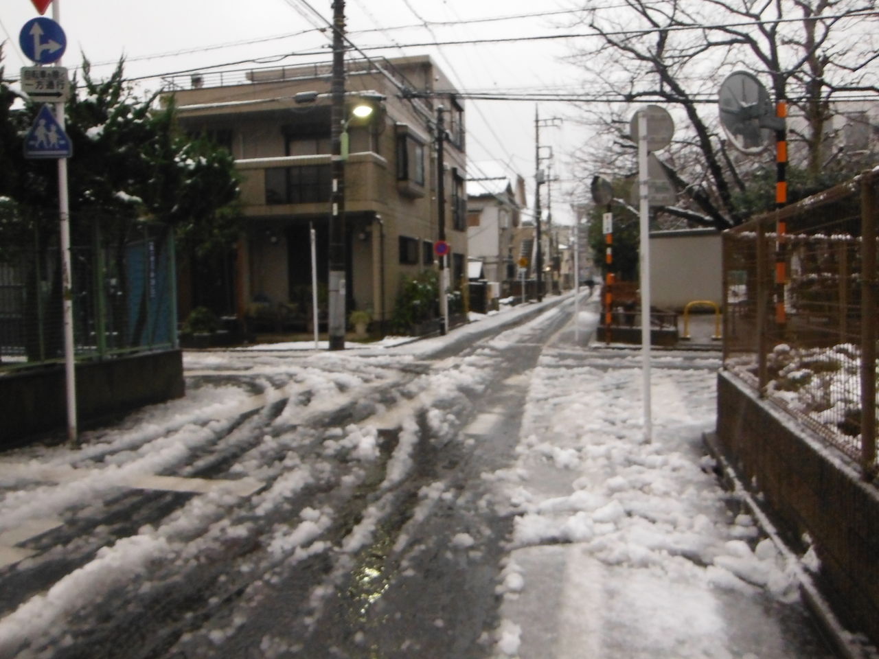 東京でも雪!