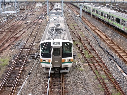 イメージ 5
