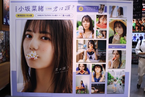 小坂菜緒ちゃんの写真集を買ってきました。