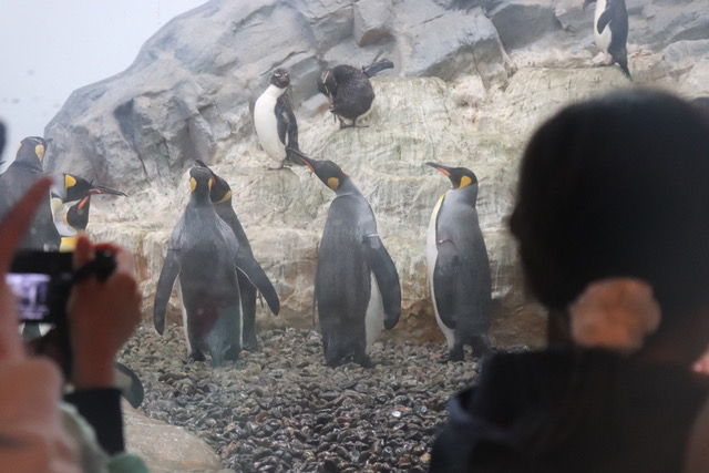 日本最北端をめざす旅 3 5 さる録 日本最北端をめざす旅 3 5 さる録