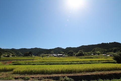 飛鳥でウォーキングは熱かった