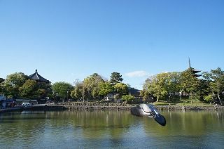 今日５日から采女祭の特別イベントがあるよ～