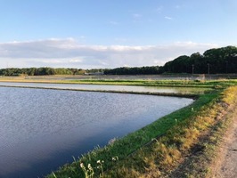 IMG_1340