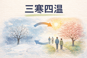 �����Ͳ�