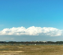 IMG_7838