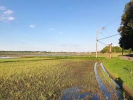 IMG_1339