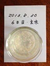 20130830¸¼