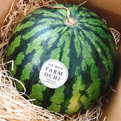 ¼«Á³ºÏÇÝ¥¹¥¤¥«¡