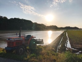 IMG_1342